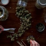 Cannabis – Anbau und Konsum in Mietwohnungen nicht uneingeschränkt erlaubt