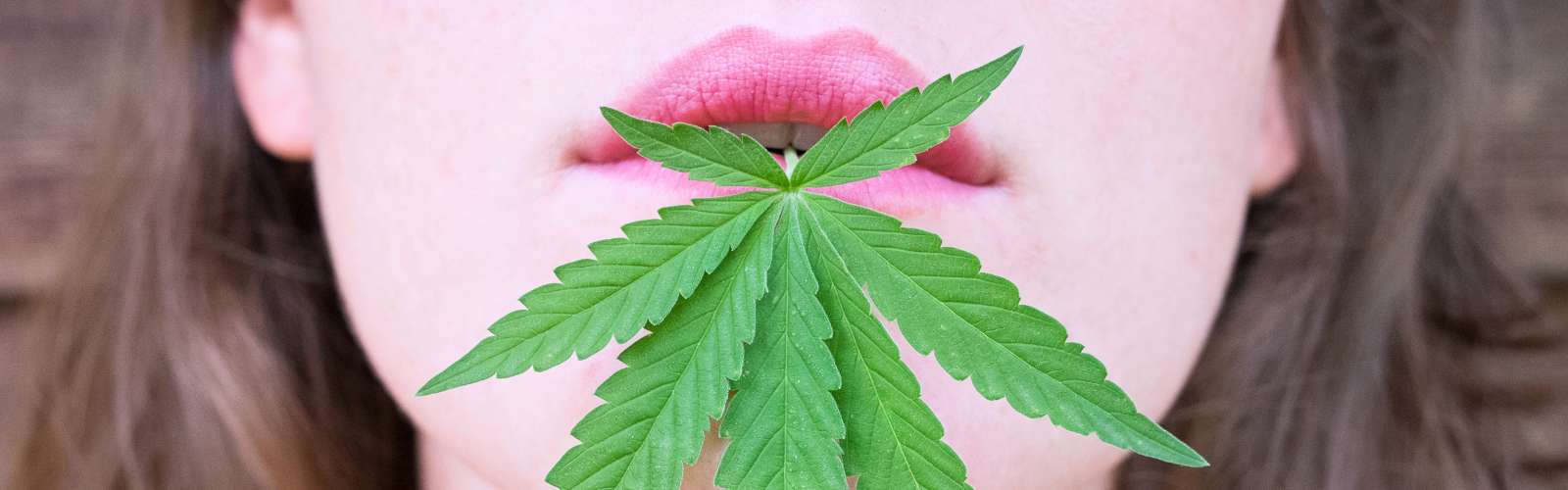 Cannabis-Konsum in der Mietwohnung – was ist erlaubt - MieterEngel