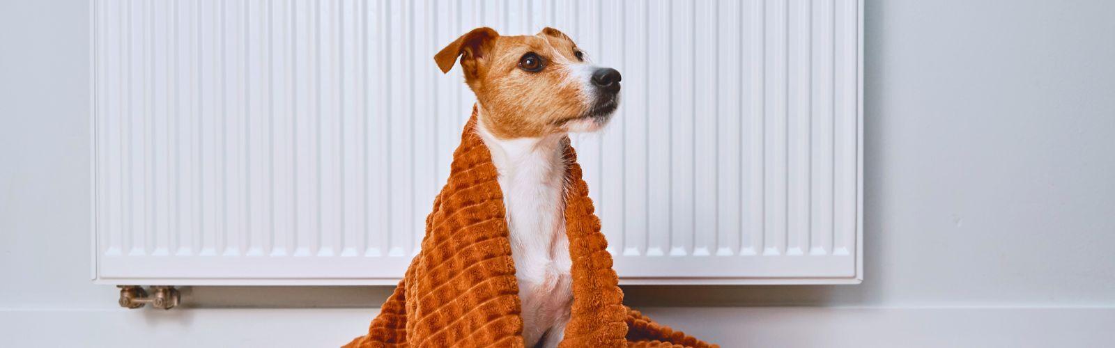 Heizungsausfall – wann ist ein Notdienst angemessen?